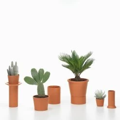 Vitra Terracotta Pots By Thélonious Goupil -Home Furnishings Shop 7012385 TerracottaPot Group master 9886d6e5 5dfc 42e1 9a2d a1a983cda476