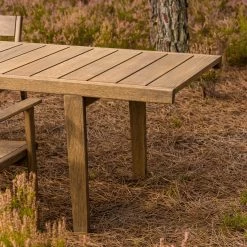 98.6°F Outdoor Dining Table By Lyndon Neri And Rossana Hu -Home Furnishings Shop 98.6 FOutdoorDiningTablebyNeri Hu detail photobyCarlosTeixeira