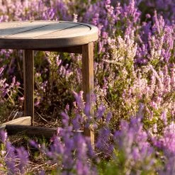 98.6°F Outdoor Side Table By Lyndon Neri And Rossana Hu -Home Furnishings Shop 98.6 FOutdoorSideTablebyNeri HuinblackoiledEuropeanoak detail photobyCarlosTeixeira