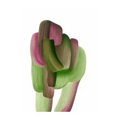 Bouroullec Drawing 20 / 2022 By The Wrong Shop