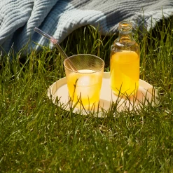 Sip Straw By Hay -Home Furnishings Shop EllipseTraylightyellow TelaTumblerclear SipSwirl CrinklePlaidlightblue