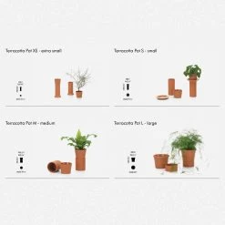 Vitra Terracotta Pots By Thélonious Goupil -Home Furnishings Shop HAUSVitraPlantingGuide
