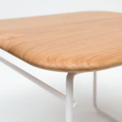 Wire Table By Pastoe -Home Furnishings Shop Kopie van wire bijzettafeltje detail dsc0822