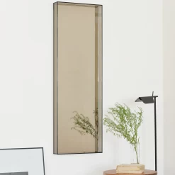 Lucent Mirror By Case -Home Furnishings Shop LucentTallMirror Bronze2
