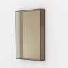 Lucent Mirror By Case -Home Furnishings Shop Lucentmirror whitespace Bronze