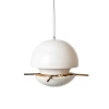 Birdball Seed Feeder By Green And Blue