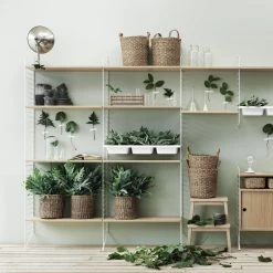 String - Shelves -Home Furnishings Shop String 6d 20141