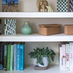 Trove Box By Case -Home Furnishings Shop trove box rectangular cork styleshot 2